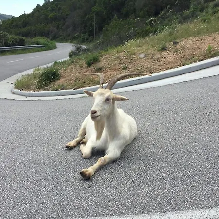 Milla - Panoramic Terrace Calm & Cosy - By Tgb *