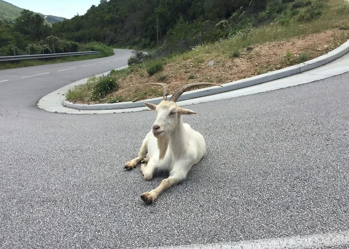 Milla - Panoramic Terrace Calm & Cosy - By Tgb *